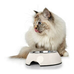 Voerbak voor honden Hunter Melamine Roestvrij staal Wit 350 ml (18,5 x 18,5 x 9,5 cm) Voerbak voor honden Hunter Melamine Roestvrij staal Wit 350 ml (18,5 x 18,5 x 9,5 cm)