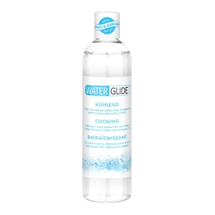 Lubricant Waterglide 300 ml