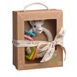 Teething ring Colorings So Pure, Vulli