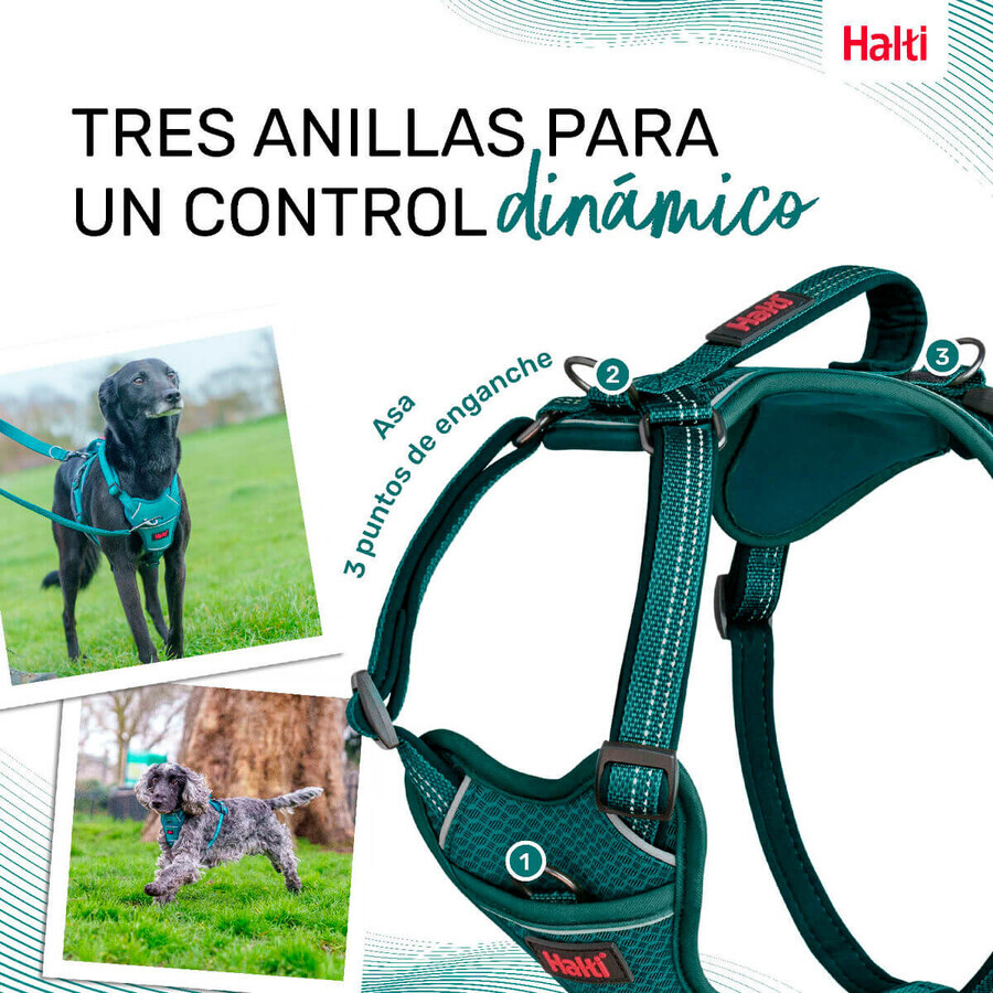 Hundegeschirr Company of Animals türkis XL 50-78 cm
