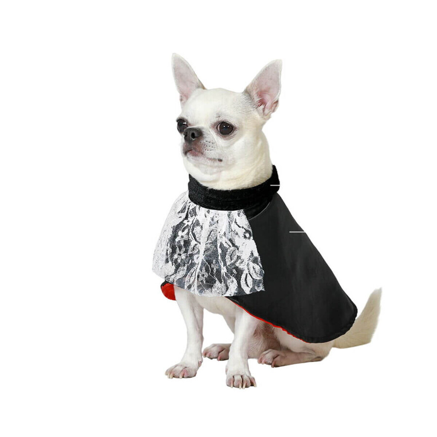 Boutique déguisement pour chien Vampire Taille L déguisement pour chien Vampire Taille L