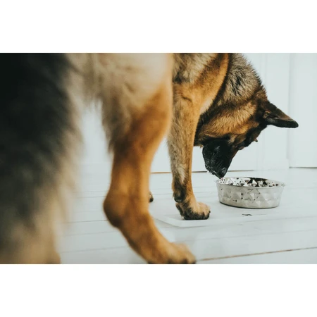 Voerbak voor honden Hunter Siliconen Roestvrij staal 2,6 L