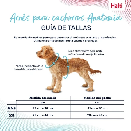 Harnais pour Chien Company of Animals Gris XXS 22-30 cm