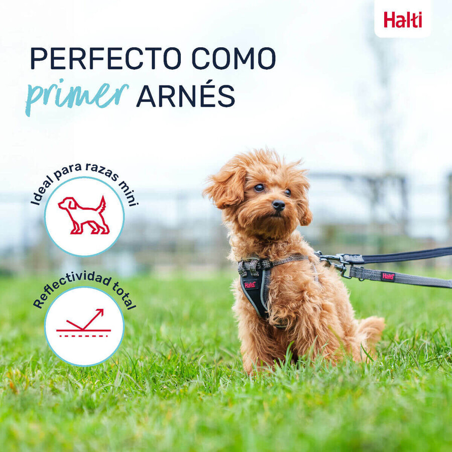 Imbracatura per Cani Company of Animals Grigio XXS 22-30 cm Imbracatura per Cani Company of Animals Grigio XXS 22-30 cm