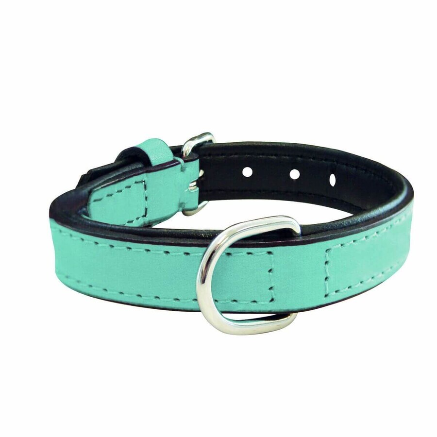 Buy Dog collar Gloria 30 cm Padded Leather Blue Dog collar Gloria 30 cm Padded Leather Blue