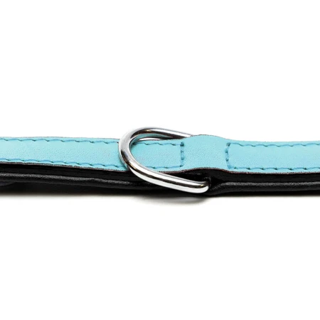 Gloria collar de perro 30 cm de cuero acolchado Azul Azul