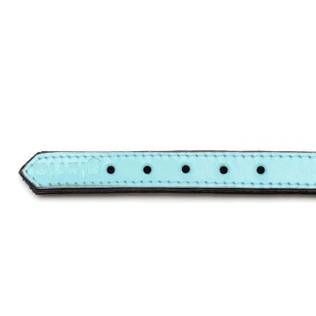 Gloria collar de perro 30 cm de cuero acolchado Azul Azul