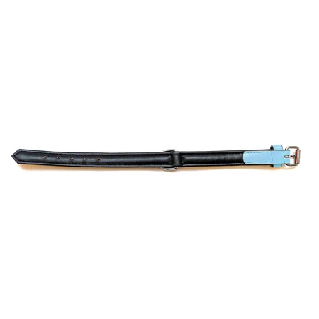 Gloria collar de perro 30 cm de cuero acolchado Azul Azul