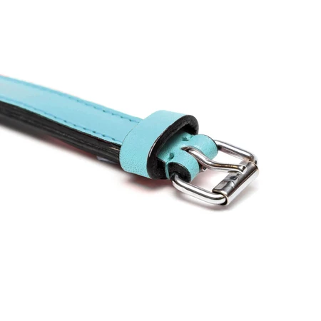 Gloria collar de perro 30 cm de cuero acolchado Azul Azul