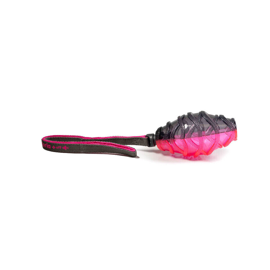 Comprar Lansator de mingi pentru câini Gloria Lansator de mingi pentru câini Gloria