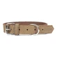 Collar para perro Gloria Oasis Blanco (50 x 2,1 cm)