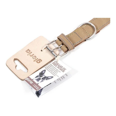 Collar para perro Gloria Oasis Blanco (50 x 2,1 cm)