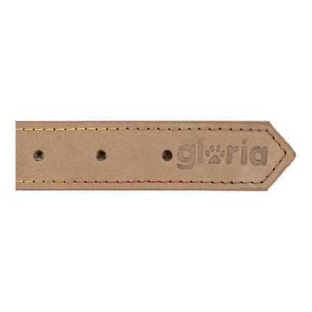 Collar para perro Gloria Oasis Blanco (50 x 2,1 cm)