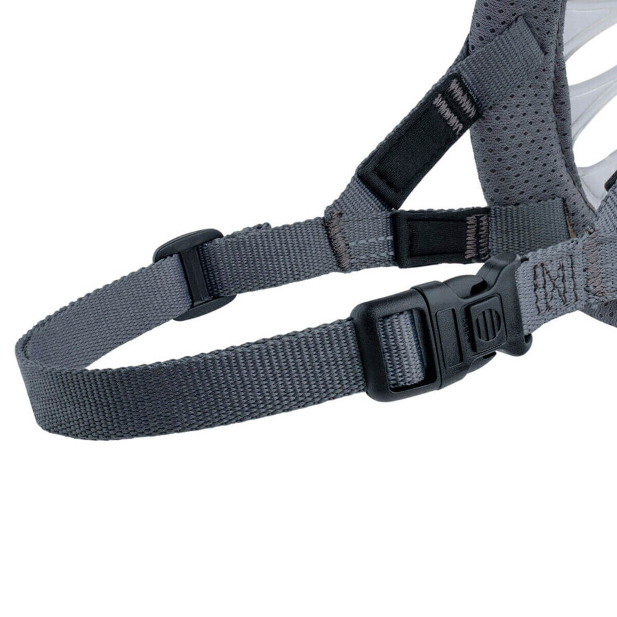 Muzzle Company of Animals Transparent 2 Muzzle Company of Animals Transparent 2
