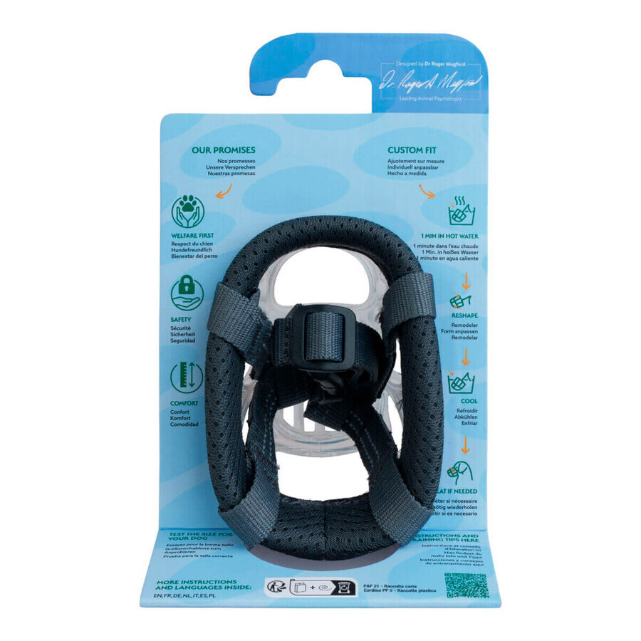 Muzzle Company of Animals Transparent 2 Muzzle Company of Animals Transparent 2