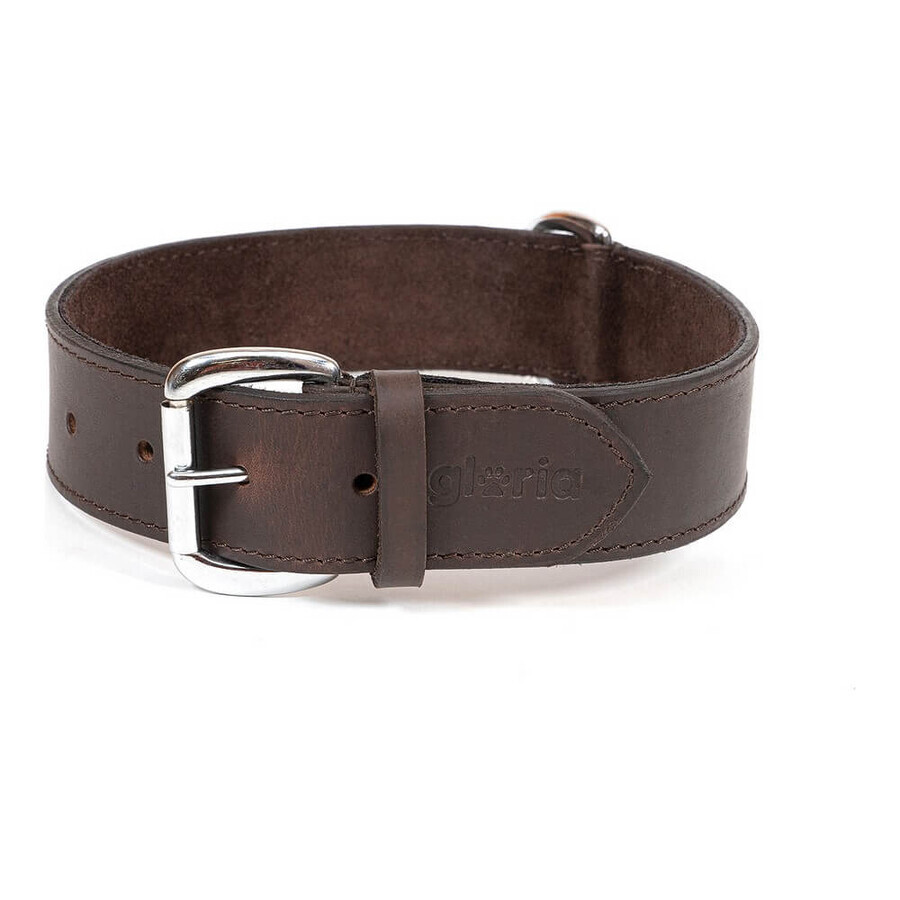Buy Dog collar Gloria Brown (85 x 4 cm) Dog collar Gloria Brown (85 x 4 cm)