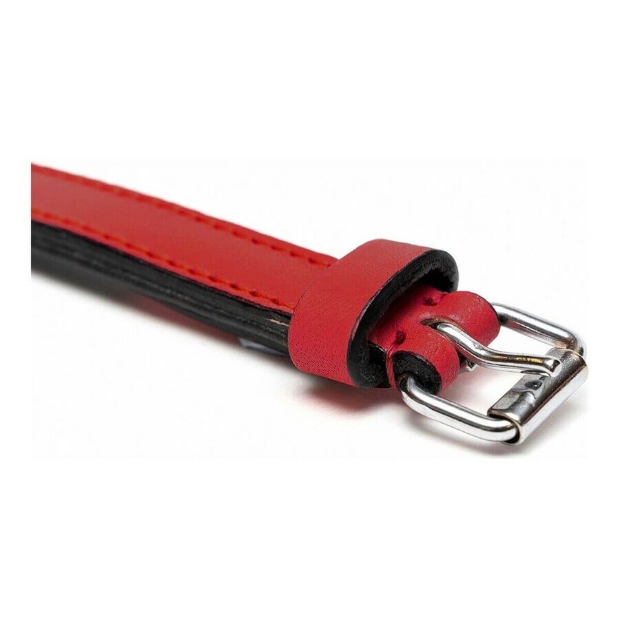 Hundehalsband Gloria Polsterung Rot 50 cm (50 x 2,5 cm) Hundehalsband Gloria Polsterung Rot 50 cm (50 x 2,5 cm)