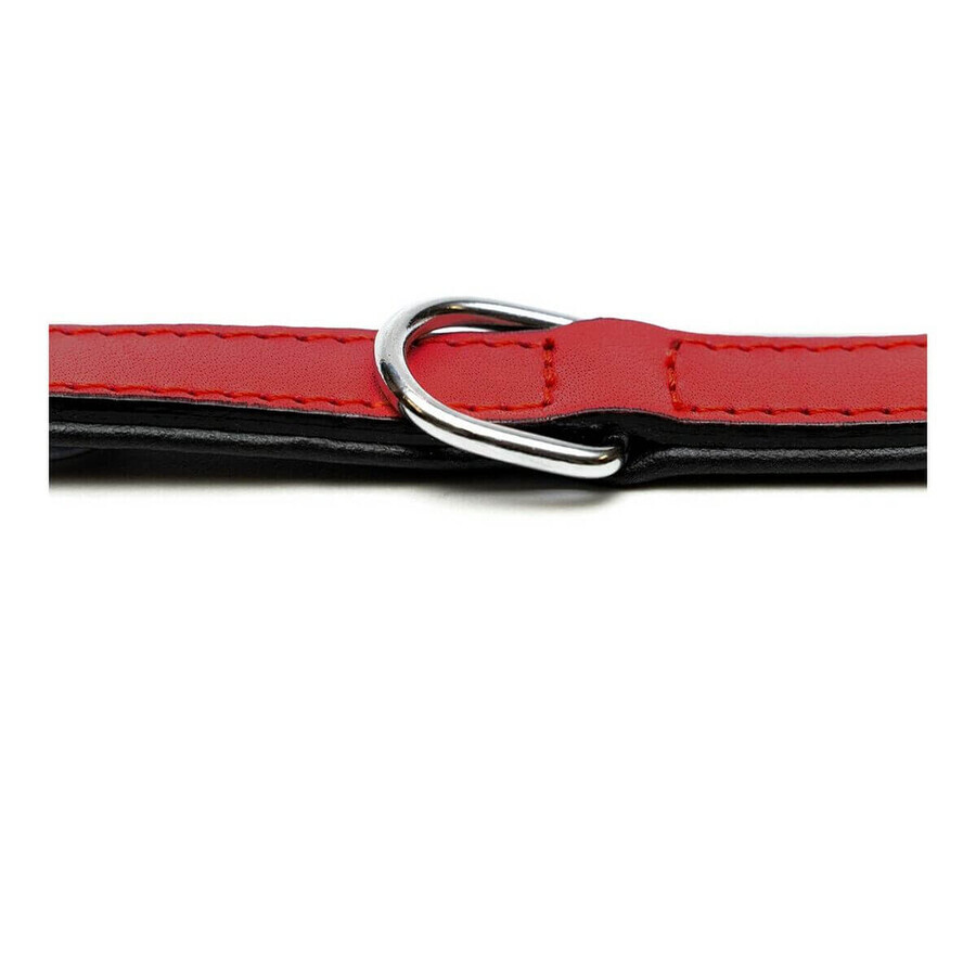 Hundehalsband Gloria Polsterung Rot 50 cm (50 x 2,5 cm) Hundehalsband Gloria Polsterung Rot 50 cm (50 x 2,5 cm)
