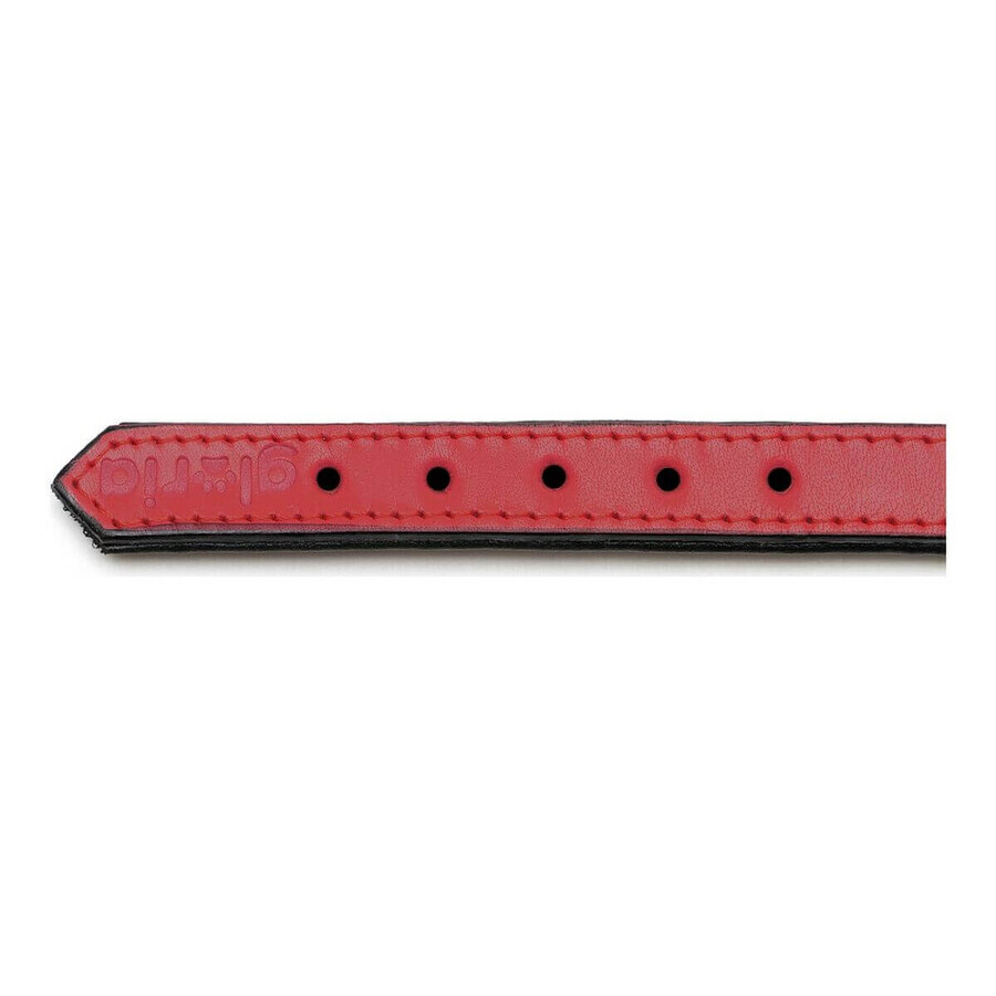 Hundehalsband Gloria Polsterung Rot 50 cm (50 x 2,5 cm) Hundehalsband Gloria Polsterung Rot 50 cm (50 x 2,5 cm)