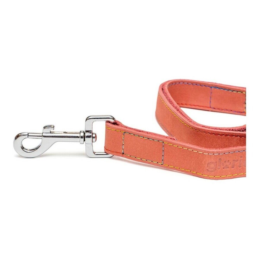 Laisse pour Chien Gloria Oasis 3 x 60 cm Rose Laisse pour Chien Gloria Oasis 3 x 60 cm Rose