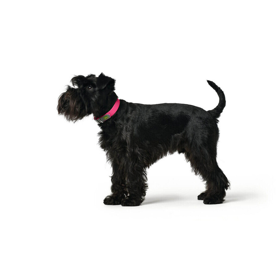 Collare per Cani Hunter Convenience 47-55 cm Fucsia L Collare per Cani Hunter Convenience 47-55 cm Fucsia L