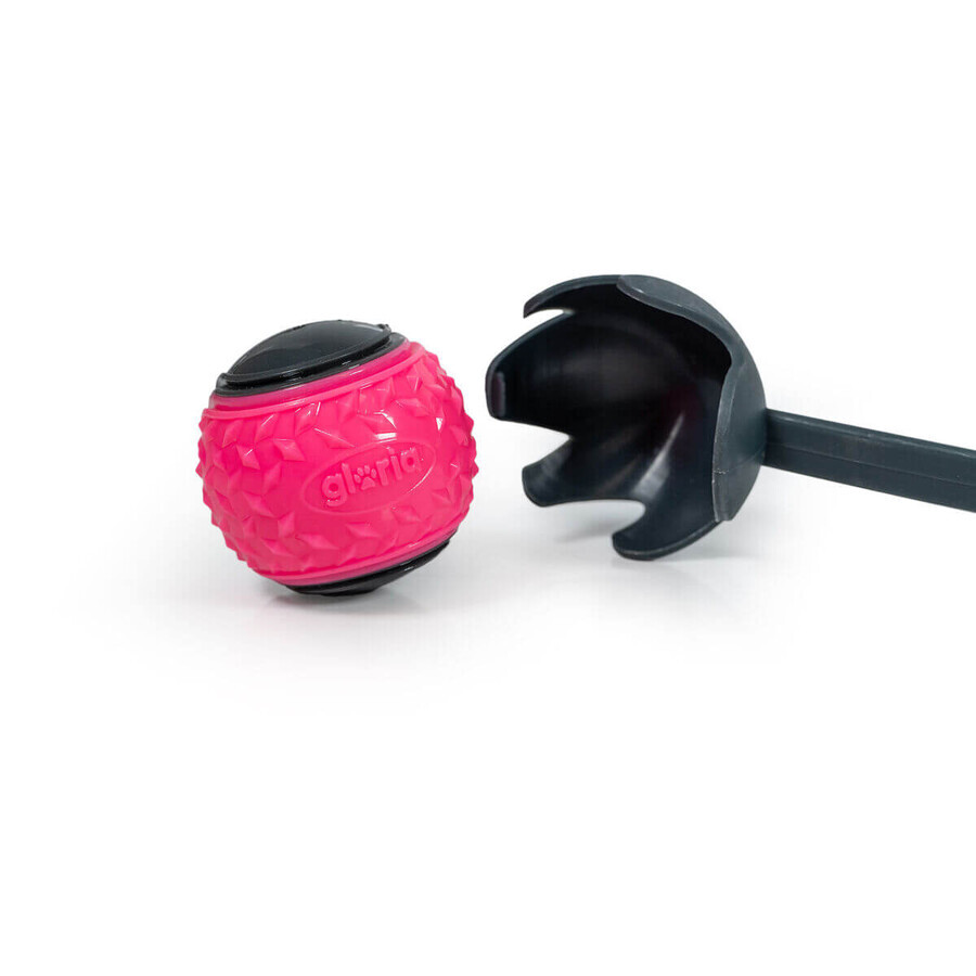 Shop Ballwurfmaschine für Hunde Gloria Ballwurfmaschine für Hunde Gloria