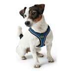 Harnais pour Chien Hunter Hilo-Comfort Bleu Taille S (42-48 cm) Harnais pour Chien Hunter Hilo-Comfort Bleu Taille S (42-48 cm)