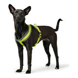 Harnais pour chien Hunter London Comfort XS-S 39-47 cm Lime