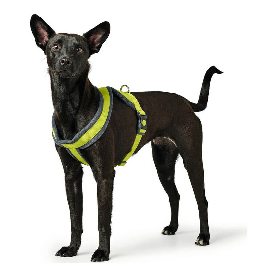 Buy Dog Harness Hunter London Comfort XS-S 39-47 cm Lime Dog Harness Hunter London Comfort XS-S 39-47 cm Lime