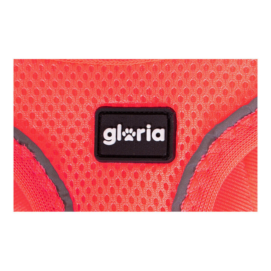 Ham pentru câini Gloria Air Mesh Star Roz Mărimea XXS (24-26 cm) Ham pentru câini Gloria Air Mesh Star Roz Mărimea XXS (24-26 cm)