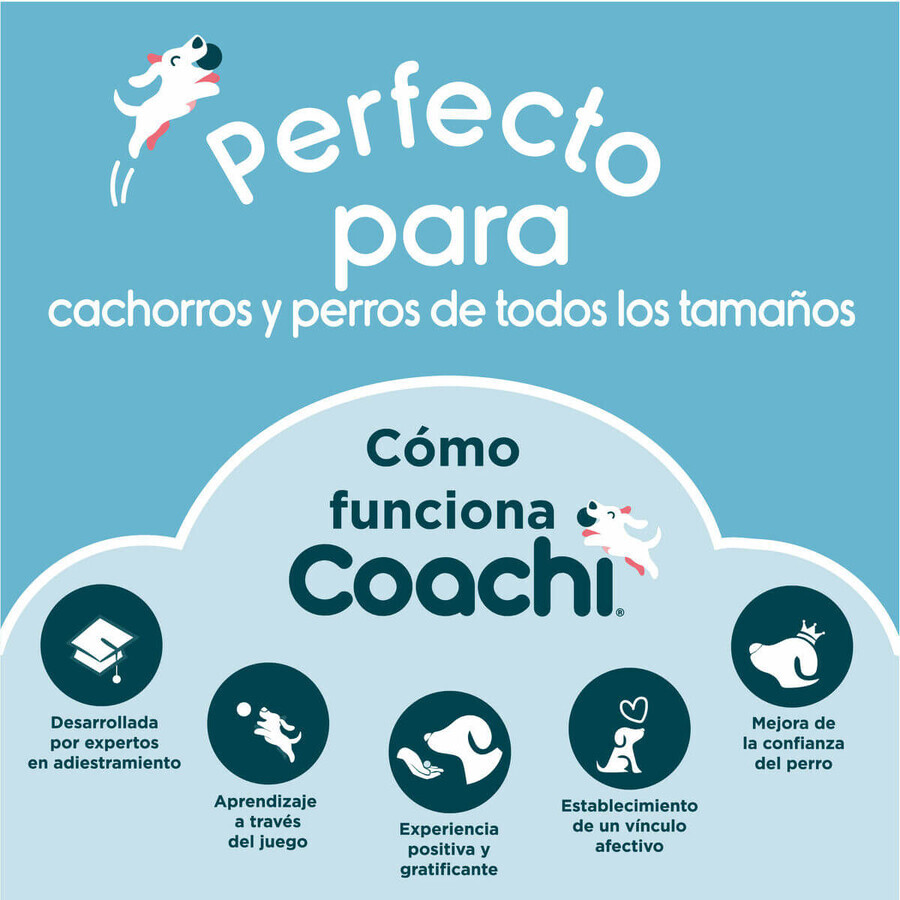 Giocattolo da allenamento Coachi TRAINING DUMMY Azzurro Giocattolo da allenamento Coachi TRAINING DUMMY Azzurro