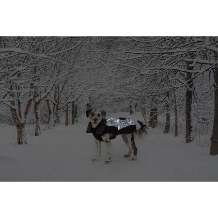 Abrigo para perro Dog Gone Smart Negro 30 cm