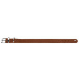 Collier de chien Hunter Aalborg Special Cognac