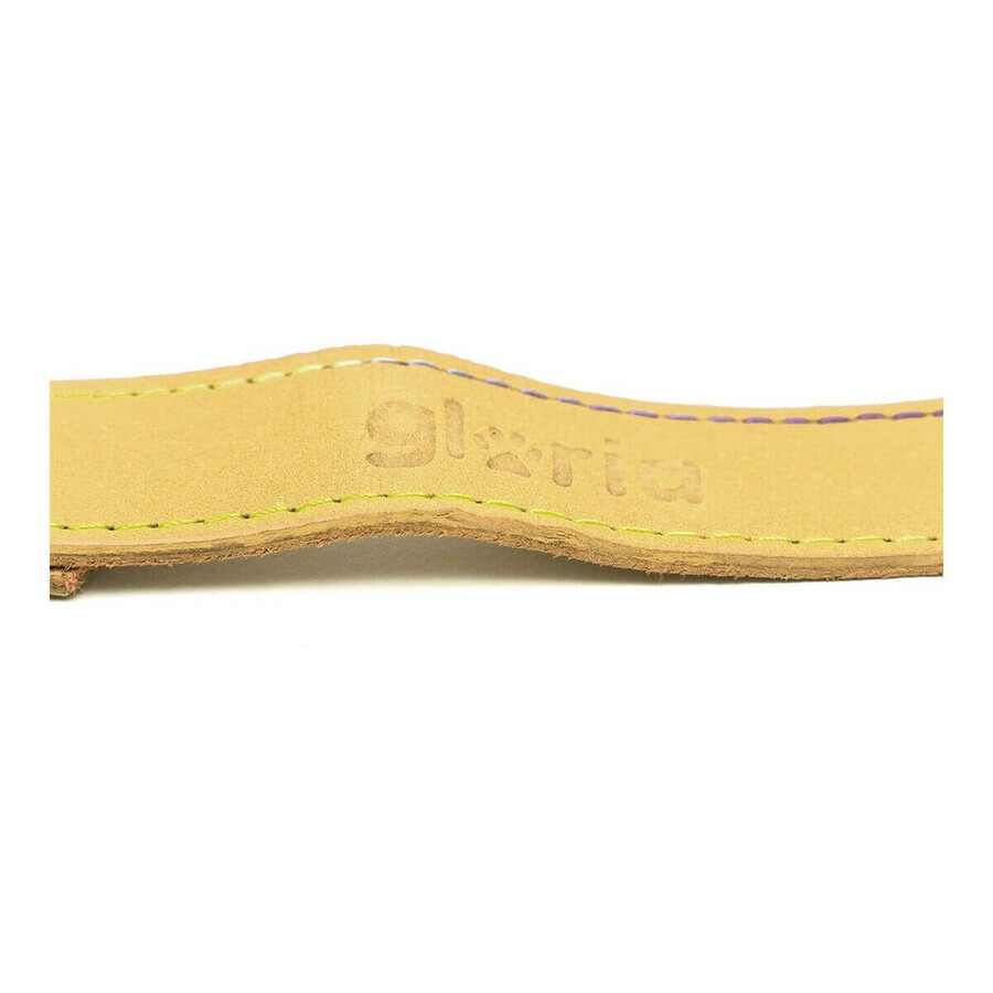Guinzaglio per Cani Gloria Oasis 3 x 60 cm Giallo Guinzaglio per Cani Gloria Oasis 3 x 60 cm Giallo