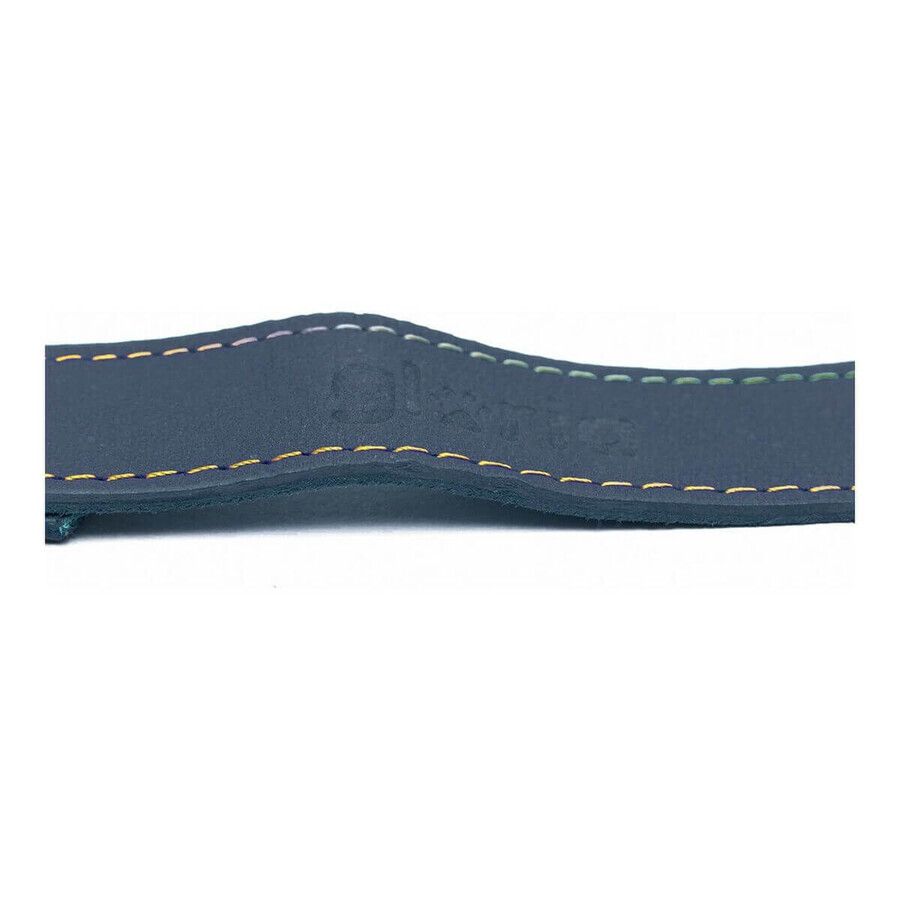 Lesă pentru câine Gloria Oasis 2.1 x 100 cm Albastru Lesă pentru câine Gloria Oasis 2.1 x 100 cm Albastru