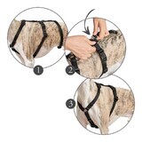 Harnais pour chien Hunter 48-70 cm Noir S/M