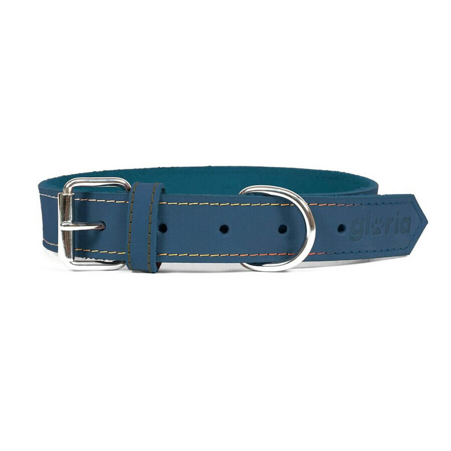 Acquista Collare per Cani Gloria Oasis Azzurro (1,2 x 35 cm) Collare per Cani Gloria Oasis Azzurro (1,2 x 35 cm)