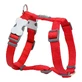Harnais pour Chien Red Dingo Lisse Rouge
