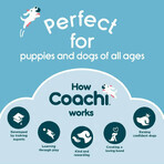 Jucărie de antrenament Coachi TRAINING DUMMY Albastru