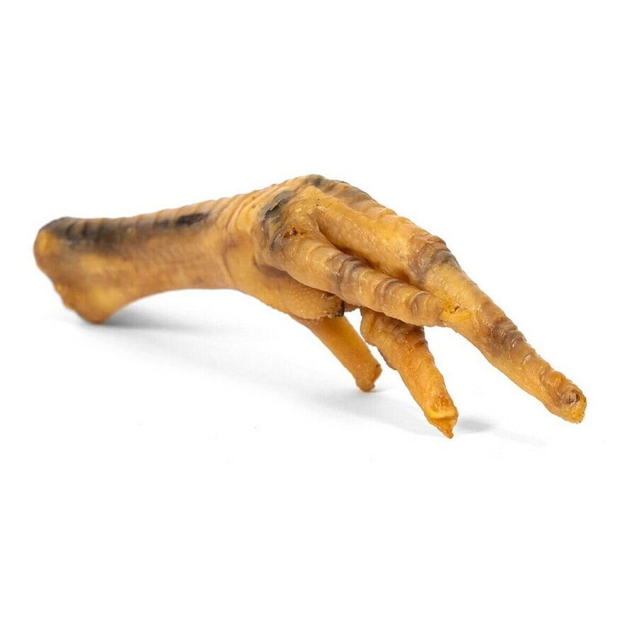 Boutique Snack pour chiens Gloria 50 Unidades Poulet Snack pour chiens Gloria 50 Unidades Poulet