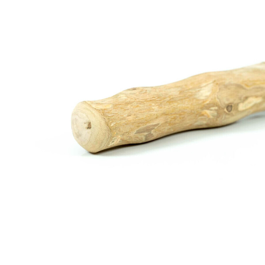 Giocattoli per cani Gloria Stick XS Masticabile Legno (1 Unità) Giocattoli per cani Gloria Stick XS Masticabile Legno (1 Unità)