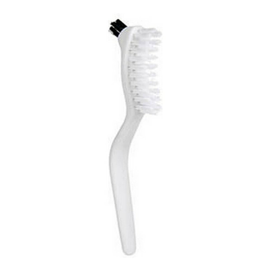 Acquista Set per Dentiere Berilo Set per Dentiere Berilo