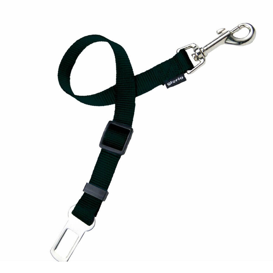 Buy Belt Accessories Gloria Pets Black Belt Accessories Gloria Pets Black