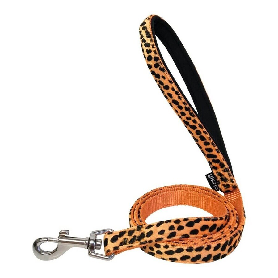 Boutique Laisse pour Chien Gloria 1.5 x 120 cm Orange Laisse pour Chien Gloria 1.5 x 120 cm Orange