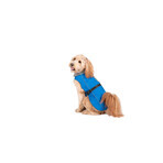 Regenmantel für Hunde Dog Gone Smart Blau 35 cm