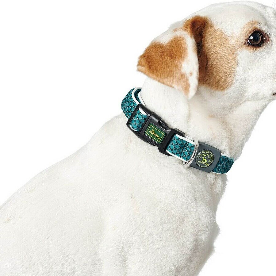 Hundehalsband Hunter Basic Thema Anthrazit S (30-43 cm) Hundehalsband Hunter Basic Thema Anthrazit S (30-43 cm)