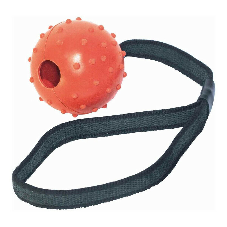 Acquista Giocattolo da mordere per cani Gloria Con corda Gomma (6 cm) (6 x 30 cm) Giocattolo da mordere per cani Gloria Con corda Gomma (6 cm) (6 x 30 cm)