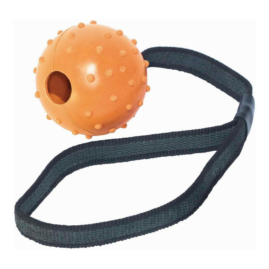 Giocattolo da mordere per cani Gloria Con corda Gomma (6 cm) (6 x 30 cm) Giocattolo da mordere per cani Gloria Con corda Gomma (6 cm) (6 x 30 cm)