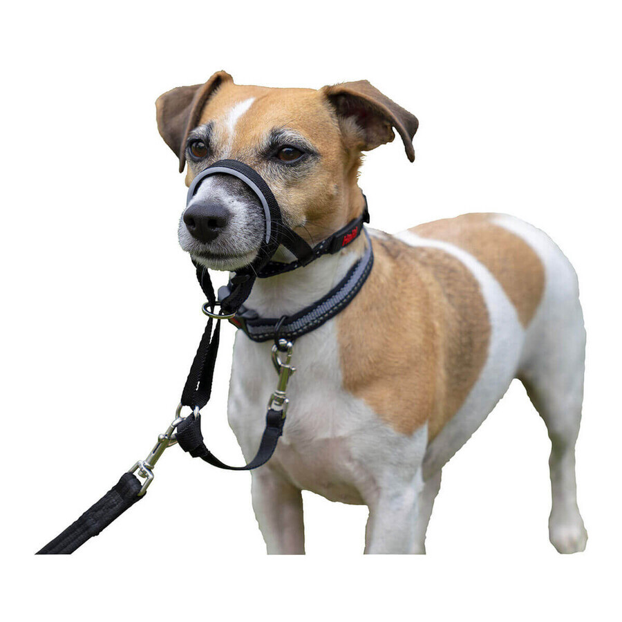 Gulerele de dresaj pentru câini Company of Animals Halti Negru Botniță (31-40 cm) Gulerele de dresaj pentru câini Company of Animals Halti Negru Botniță (31-40 cm)