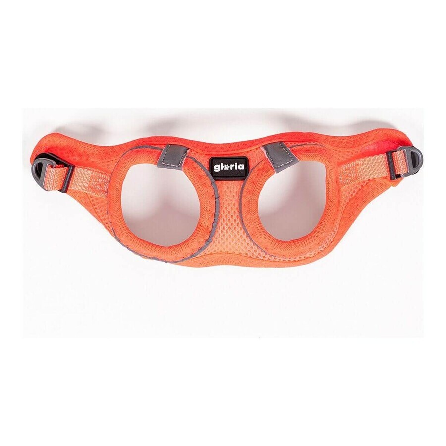 Hondentuigje Gloria Air Mesh Trek Star Verstelbaar Oranje Maat XXXS (18-20 cm) Hondentuigje Gloria Air Mesh Trek Star Verstelbaar Oranje Maat XXXS (18-20 cm)